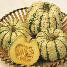 Dark Green Babe Melon Seed 6 Seeds Pumpkin Cucurbita Linn Vegetable B117